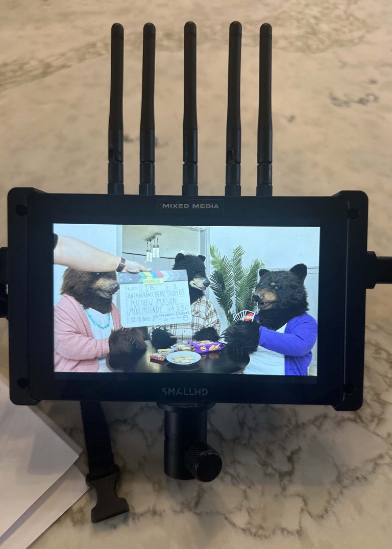 realistic bear costumes and in house studio services for film tv and tvc creation by tv bears international