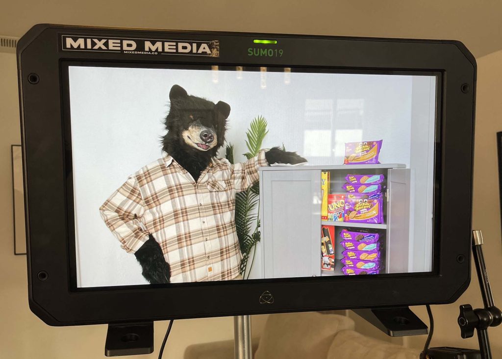 realistic bear costumes and in house studio services for film tv and tvc creation by tv bears international