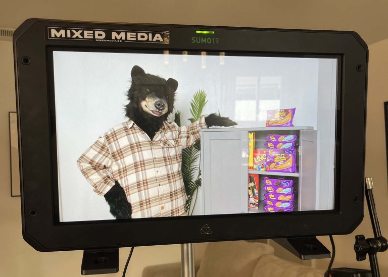 realistic bear costumes and in house studio services for film tv and tvc creation by tv bears international