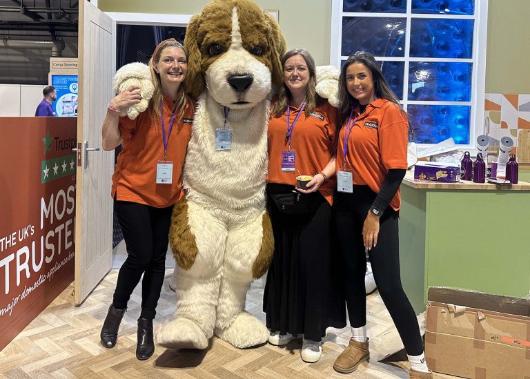 realistic beagle costume hire by tv bears international