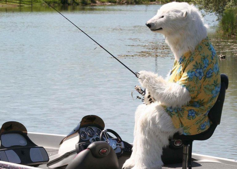 realistic polar bear costume for film tv and events