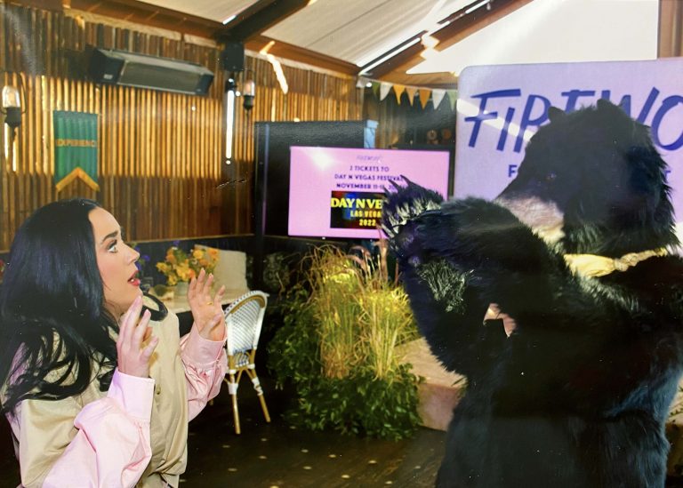 realistic black bear costume for film tv and events