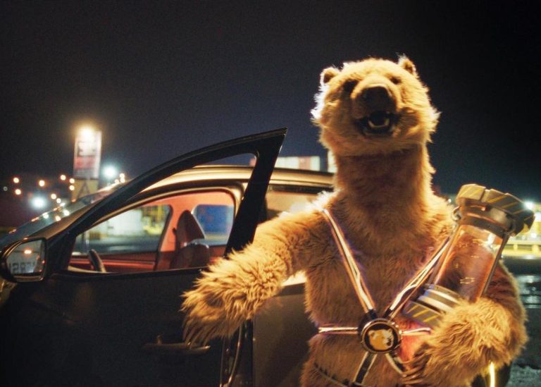realistic grizzly bear costume for film tv and events