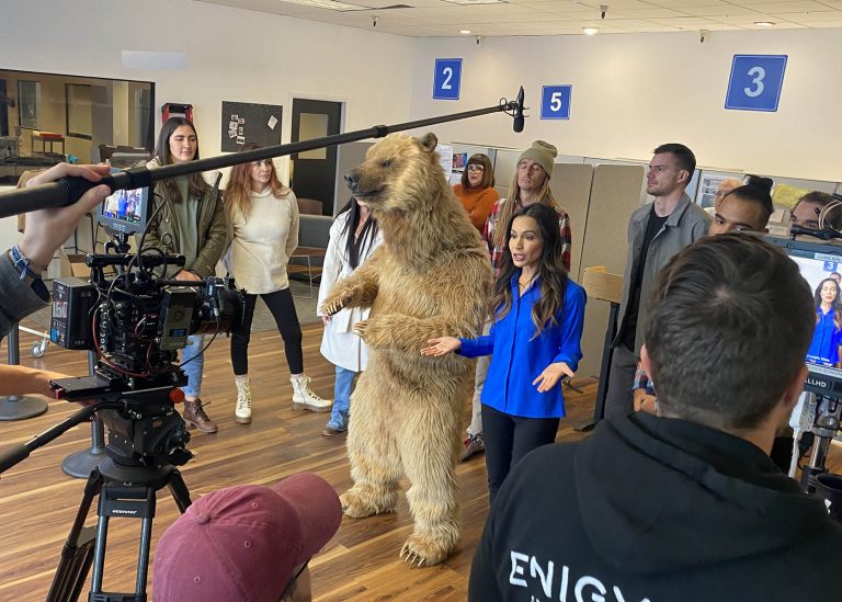realistic grizzly bear suit for film tv and events by tv bears international