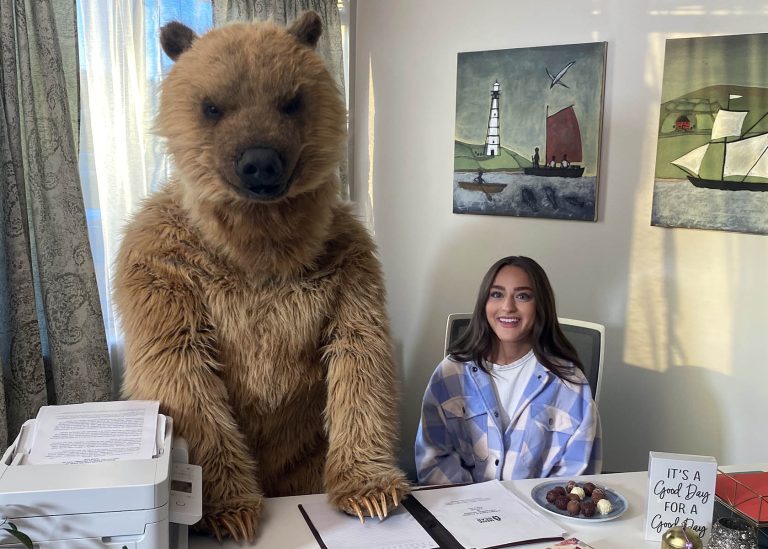 realistic grizzly bear suit for film tv and events by tv bears international