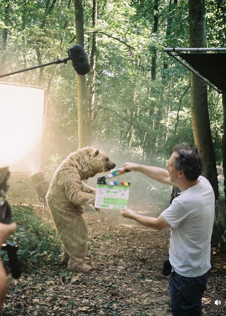 realistic grizzly bear suit for film tv and events by tv bears international