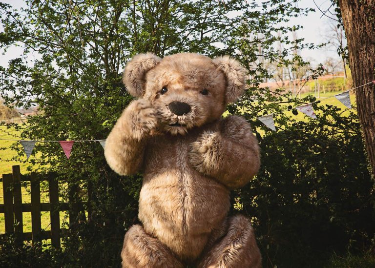 realistic jointed teddy bear costume hire by tv bears international